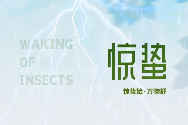 时至惊蛰 | 春雷始鸣,万物生机盎然